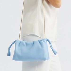 Veronica Beard stash clutch, never worn